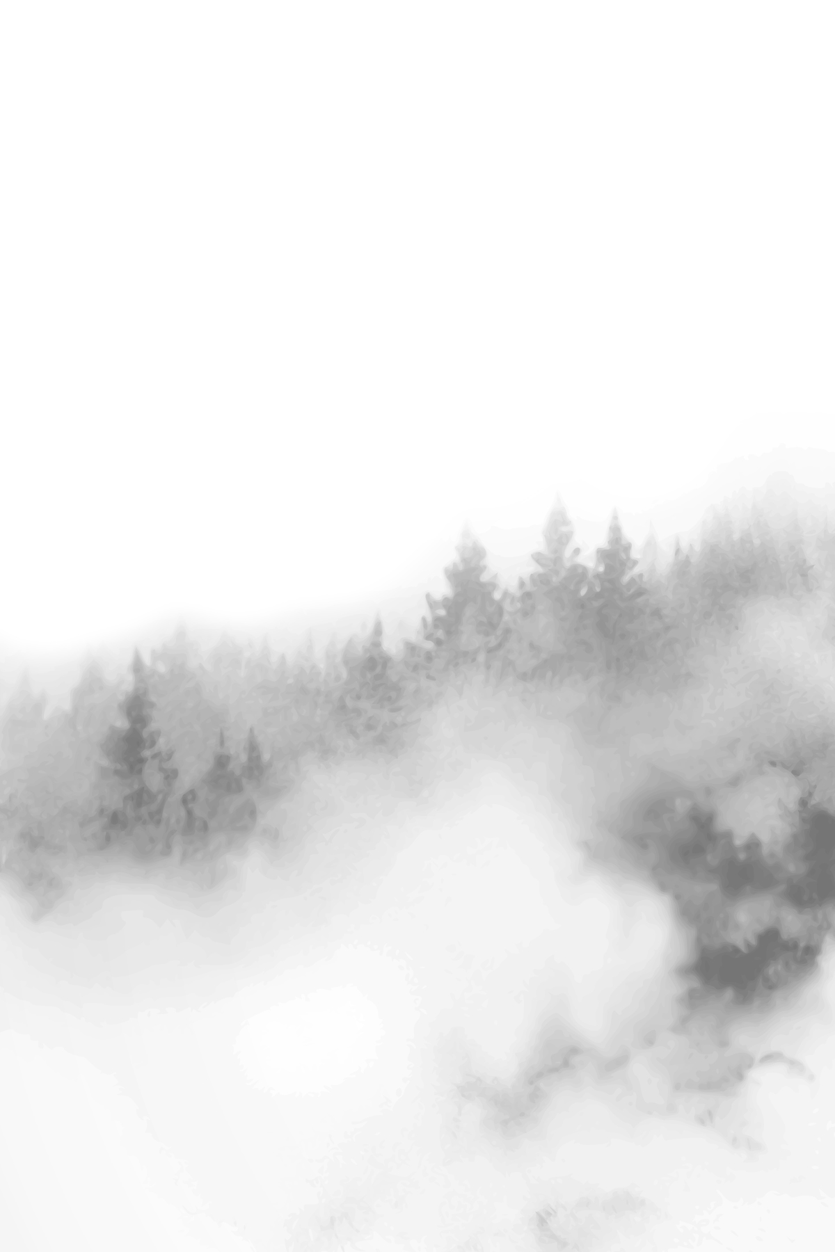 facial skincare [comfortzone] – sustainable beauty